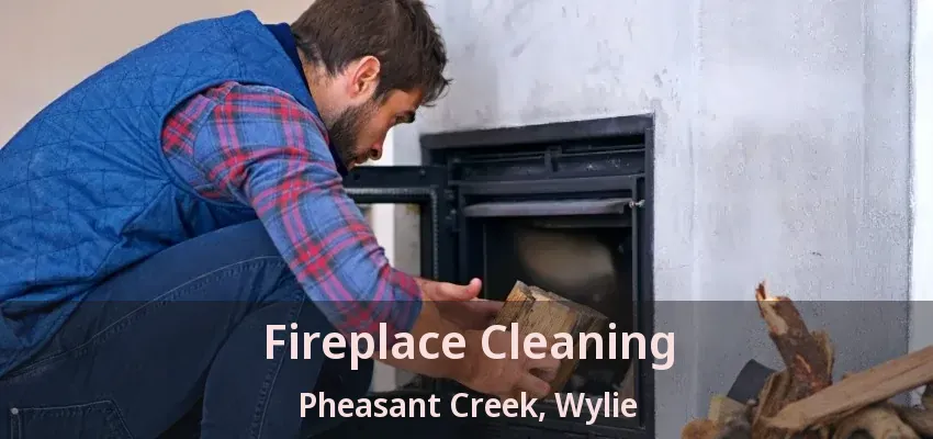 Fireplace Cleaning Pheasant Creek, Wylie - TX