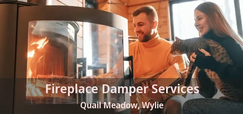 Fireplace Damper Services Quail Meadow, Wylie - TX