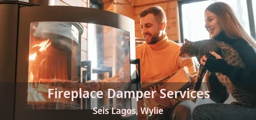 Fireplace Damper Services Seis Lagos, Wylie - TX