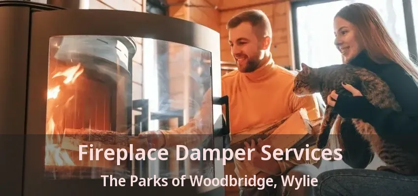 Fireplace Damper Services The Parks of Woodbridge, Wylie - TX