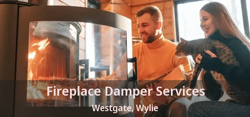 Fireplace Damper Services Westgate, Wylie - TX