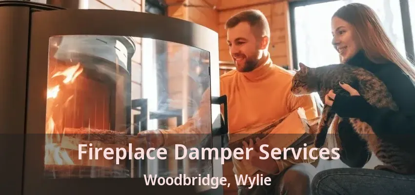 Fireplace Damper Services Woodbridge, Wylie - TX