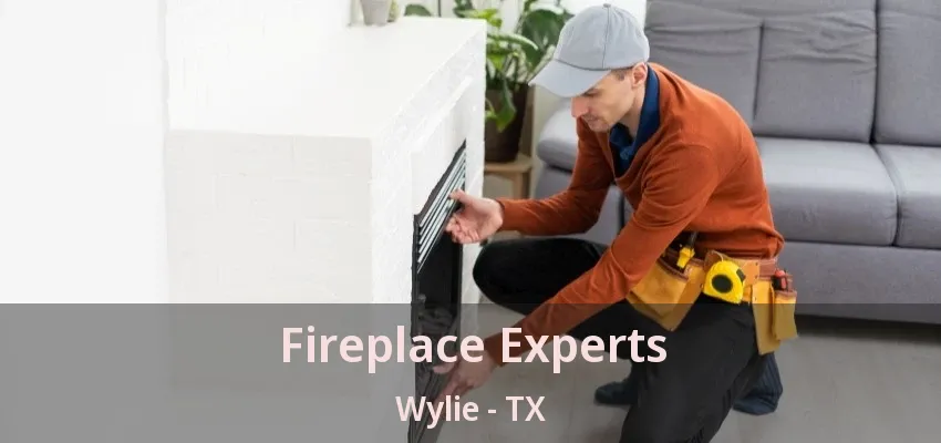 Fireplace Experts Wylie - TX