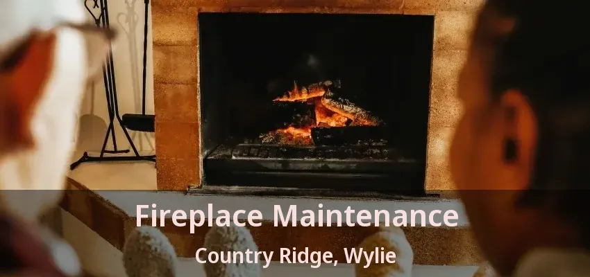 Fireplace Maintenance Country Ridge, Wylie - TX
