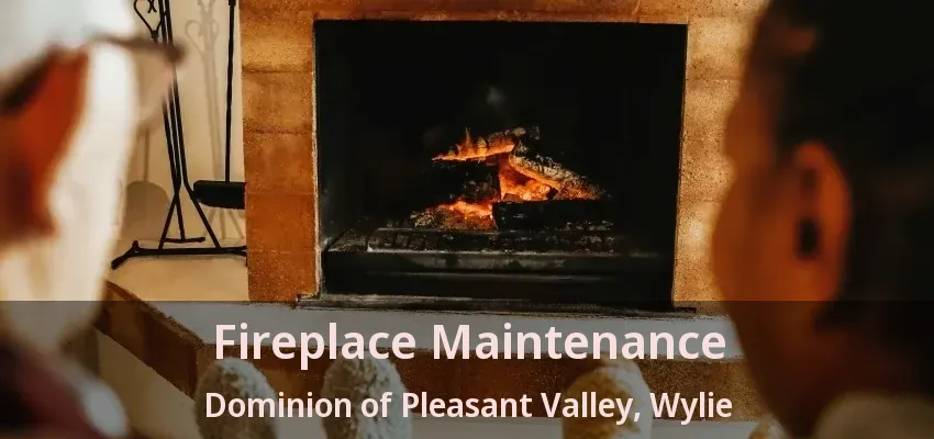Fireplace Maintenance Dominion of Pleasant Valley, Wylie - TX