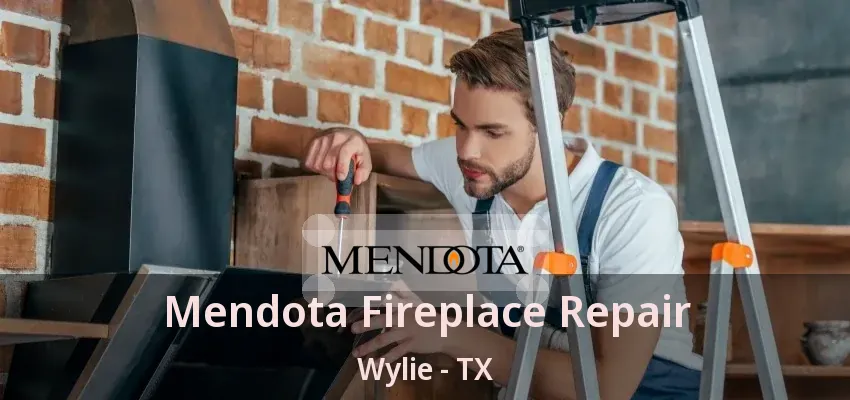 Mendota Fireplace Repair Wylie - TX