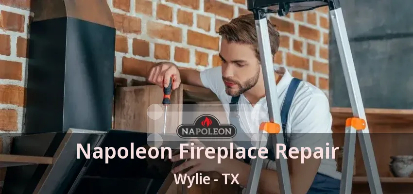 Napoleon Fireplace Repair Wylie - TX
