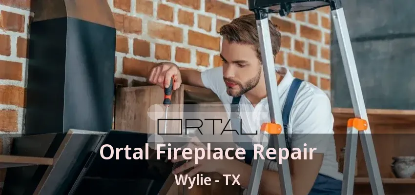 Ortal Fireplace Repair Wylie - TX
