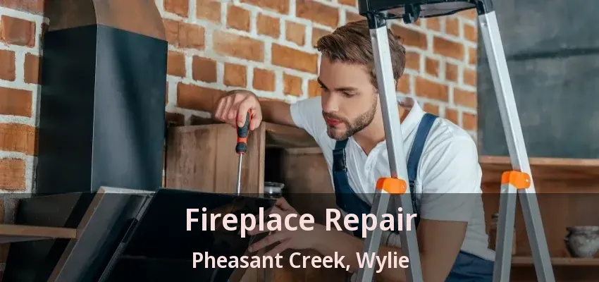 Fireplace Repair Pheasant Creek, Wylie - TX