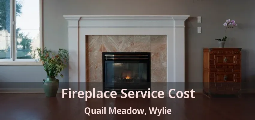 Fireplace Service Cost Quail Meadow, Wylie - TX