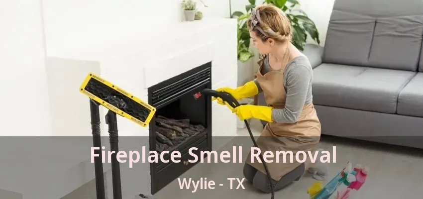 Fireplace Smell Removal Wylie - TX