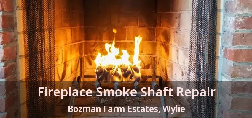 Fireplace Smoke Shaft Repair Bozman Farm Estates, Wylie - TX