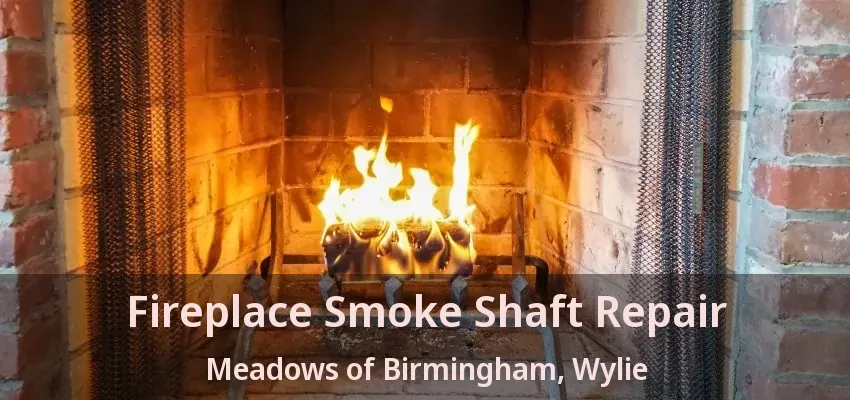Fireplace Smoke Shaft Repair Meadows of Birmingham, Wylie - TX