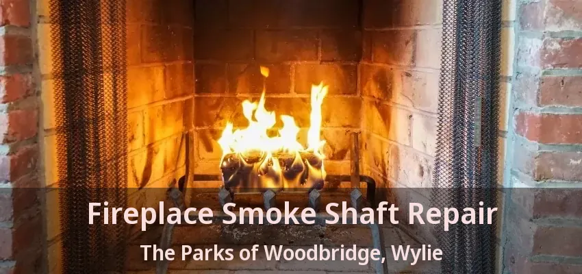 Fireplace Smoke Shaft Repair The Parks of Woodbridge, Wylie - TX