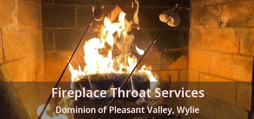 Fireplace Throat Services Dominion of Pleasant Valley, Wylie - TX