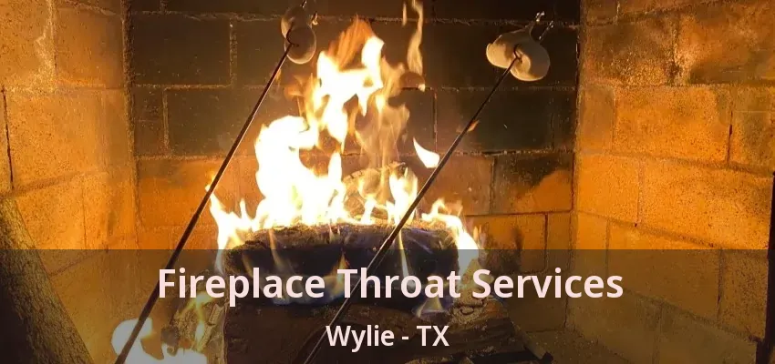 Fireplace Throat Services Wylie - TX