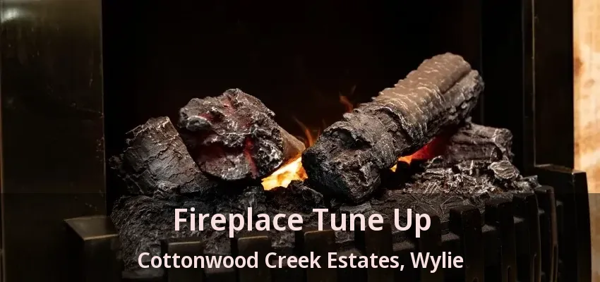Fireplace Tune Up Cottonwood Creek Estates, Wylie - TX