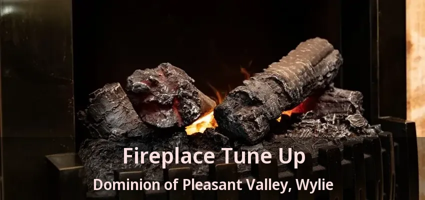 Fireplace Tune Up Dominion of Pleasant Valley, Wylie - TX