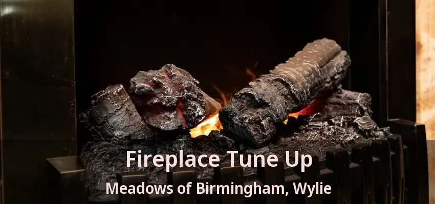 Fireplace Tune Up Meadows of Birmingham, Wylie - TX