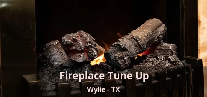 Fireplace Tune Up Wylie - TX
