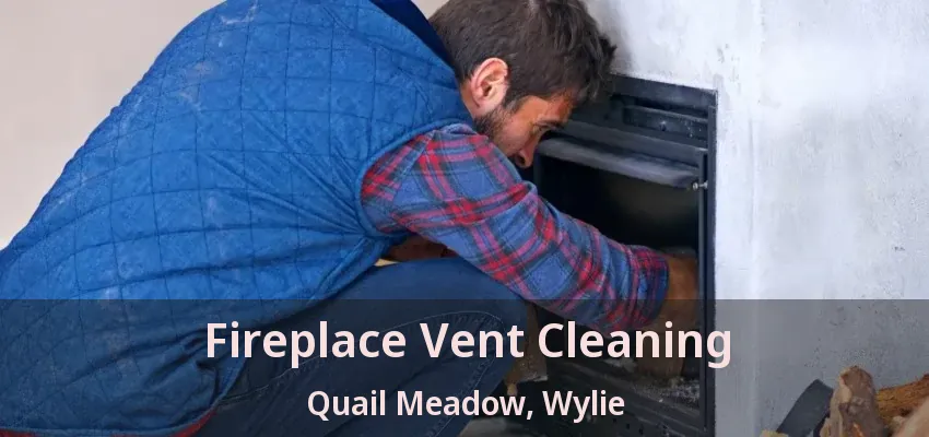 Fireplace Vent Cleaning Quail Meadow, Wylie - TX