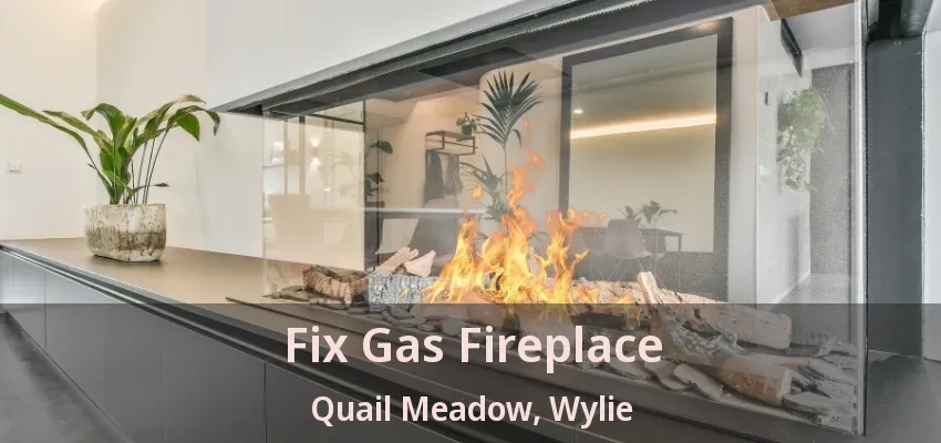 Fix Gas Fireplace Quail Meadow, Wylie - TX