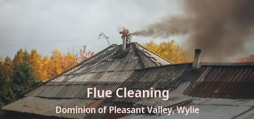 Flue Cleaning Dominion of Pleasant Valley, Wylie - TX