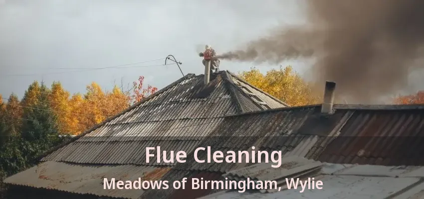 Flue Cleaning Meadows of Birmingham, Wylie - TX