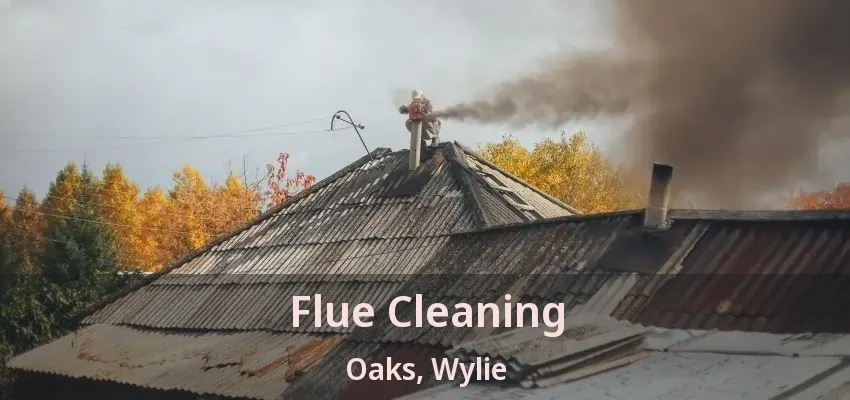 Flue Cleaning Oaks, Wylie - TX