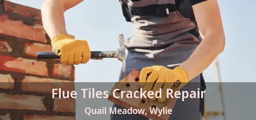 Flue Tiles Cracked Repair Quail Meadow, Wylie - TX