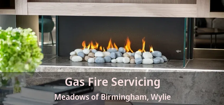 Gas Fire Servicing Meadows of Birmingham, Wylie - TX