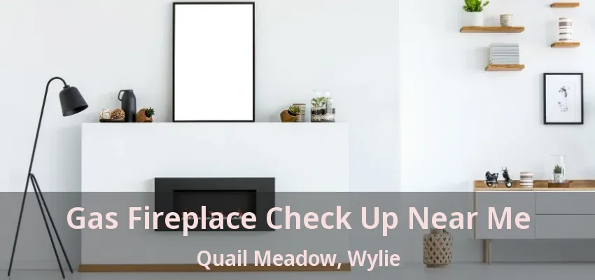 Gas Fireplace Check Up Near Me Quail Meadow, Wylie - TX