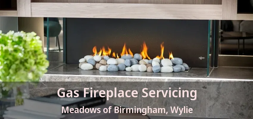 Gas Fireplace Servicing Meadows of Birmingham, Wylie - TX