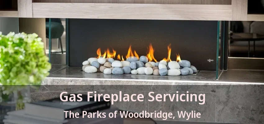 Gas Fireplace Servicing The Parks of Woodbridge, Wylie - TX