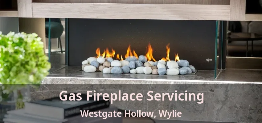 Gas Fireplace Servicing Westgate Hollow, Wylie - TX
