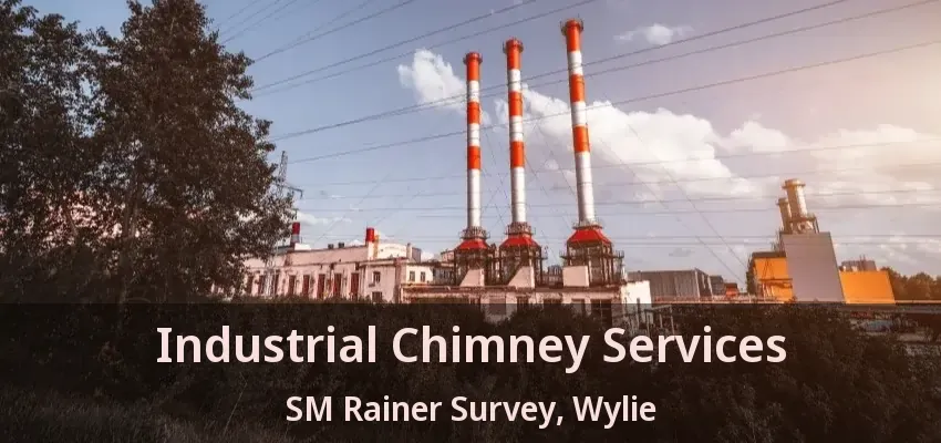 Industrial Chimney Services SM Rainer Survey, Wylie - TX