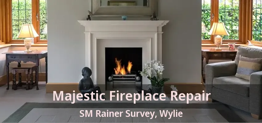 Majestic Fireplace Repair SM Rainer Survey, Wylie - TX