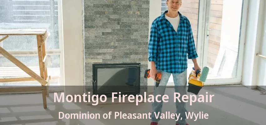 Montigo Fireplace Repair Dominion of Pleasant Valley, Wylie - TX