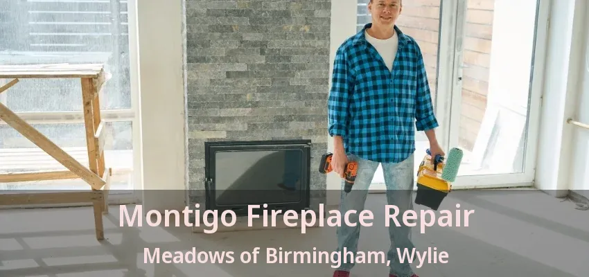Montigo Fireplace Repair Meadows of Birmingham, Wylie - TX