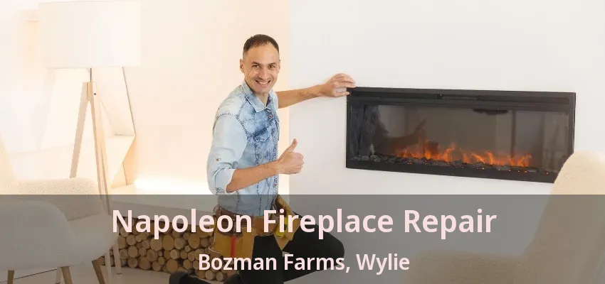 Napoleon Fireplace Repair Bozman Farms, Wylie - TX