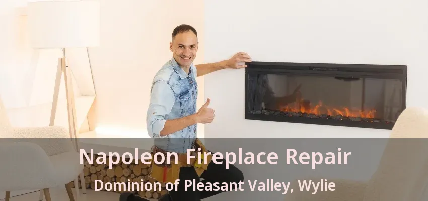Napoleon Fireplace Repair Dominion of Pleasant Valley, Wylie - TX