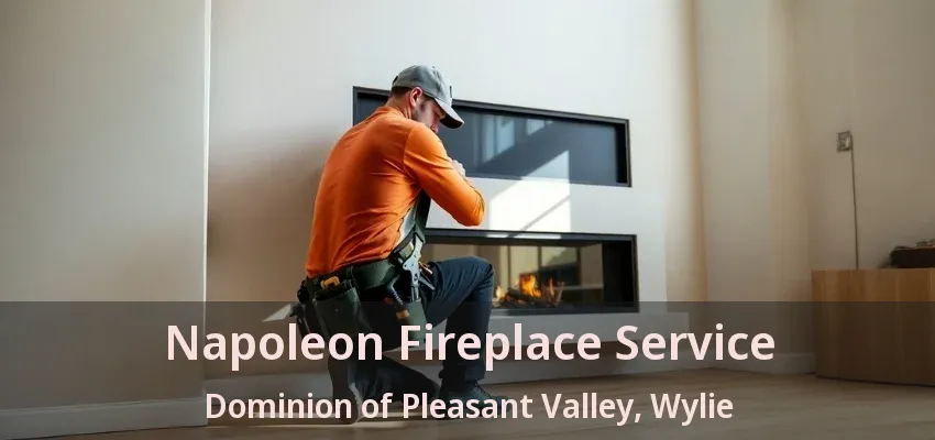 Napoleon Fireplace Service Dominion of Pleasant Valley, Wylie - TX