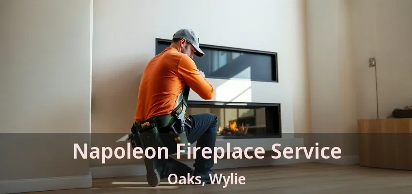 Napoleon Fireplace Service Oaks, Wylie - TX