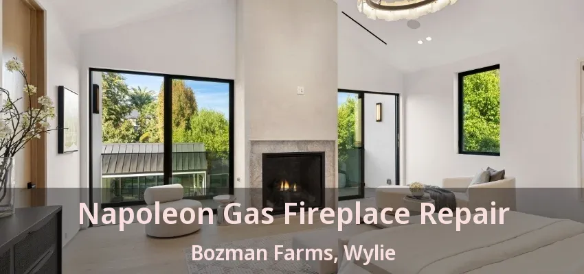 Napoleon Gas Fireplace Repair Bozman Farms, Wylie - TX