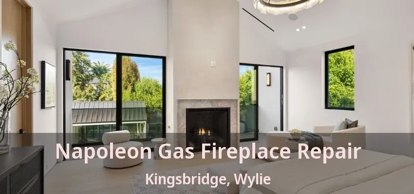 Napoleon Gas Fireplace Repair Kingsbridge, Wylie - TX