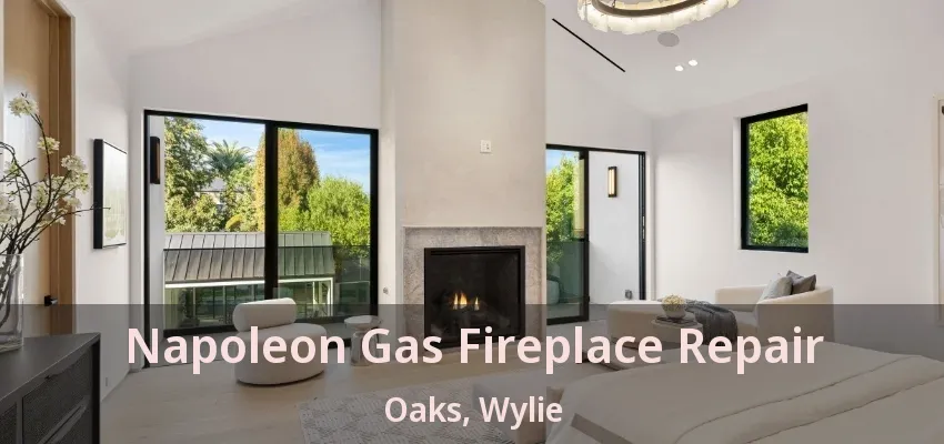 Napoleon Gas Fireplace Repair Oaks, Wylie - TX