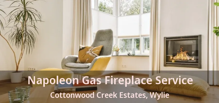 Napoleon Gas Fireplace Service Cottonwood Creek Estates, Wylie - TX