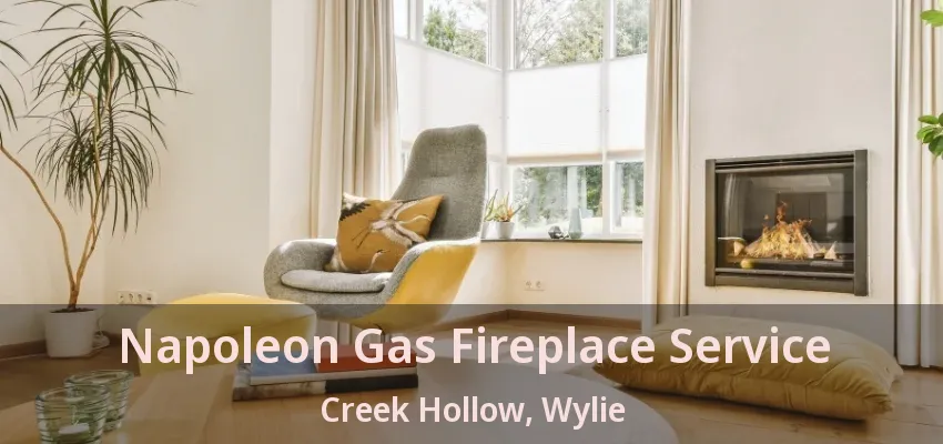 Napoleon Gas Fireplace Service Creek Hollow, Wylie - TX