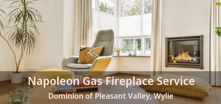 Napoleon Gas Fireplace Service Dominion of Pleasant Valley, Wylie - TX