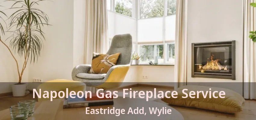 Napoleon Gas Fireplace Service Eastridge Add, Wylie - TX